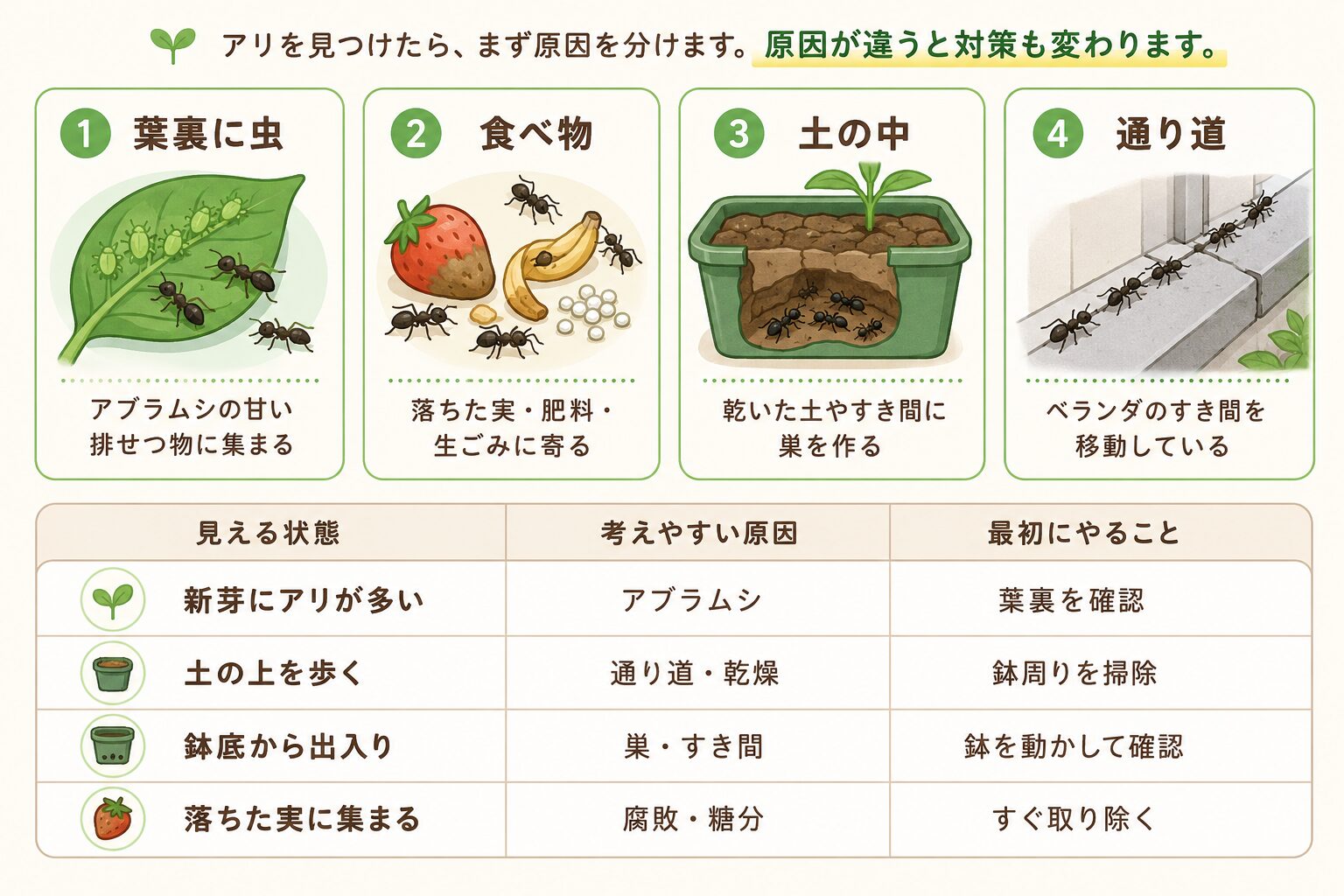 アリが来る原因を葉裏の虫・食べ物・土の中・通り道に分けて解説した表