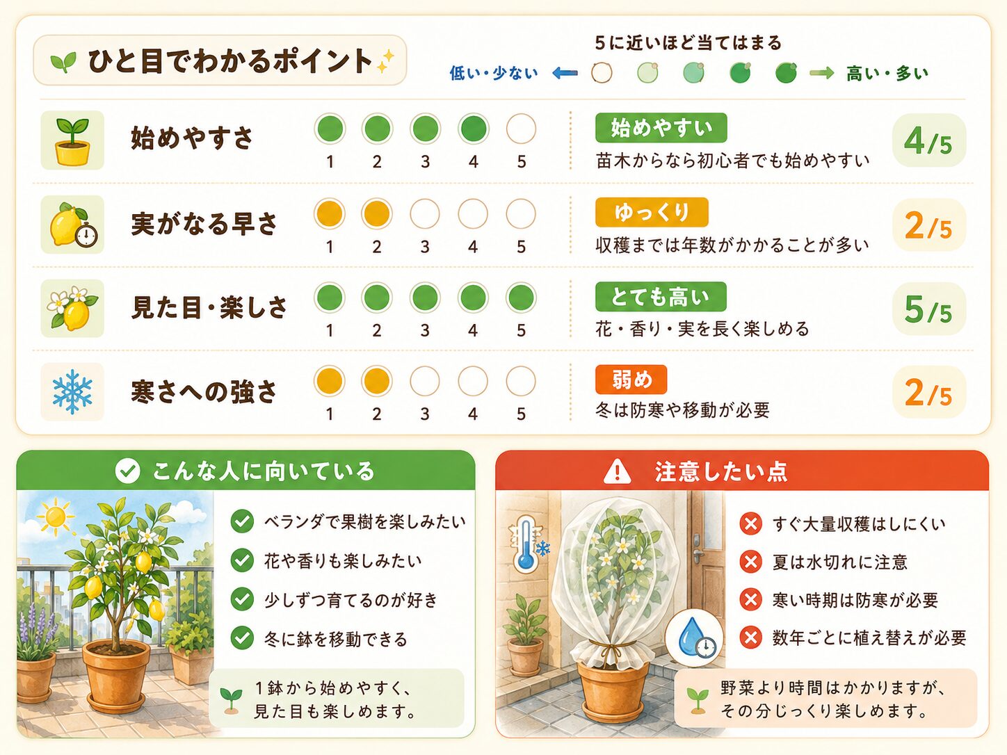 鉢植えレモンの向き不向きと初心者向けの特徴