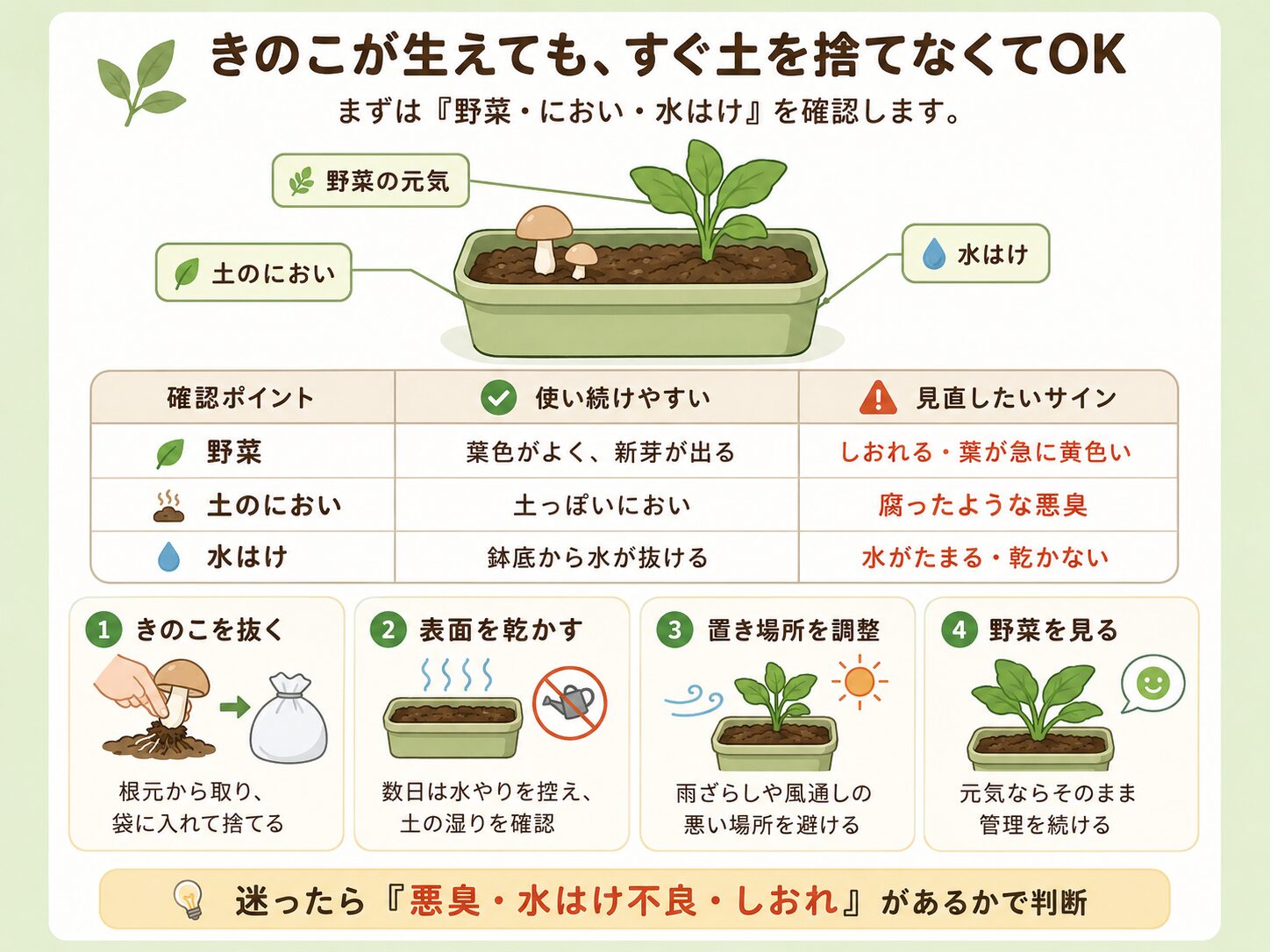 きのこが生えた土を使い続けてよいか判断するポイント