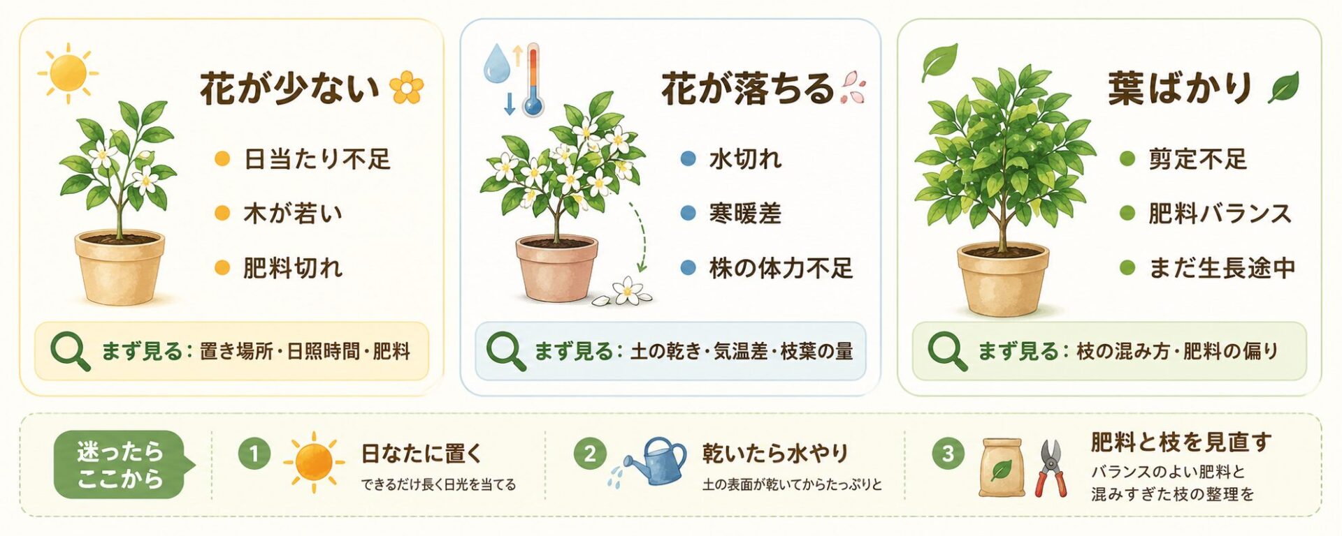 レモンの花が少ない、花が落ちる、葉ばかりになる原因と対策