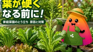 家庭菜園でとう立ちする原因は？葉物野菜が硬くなる前の見分け方と対策
