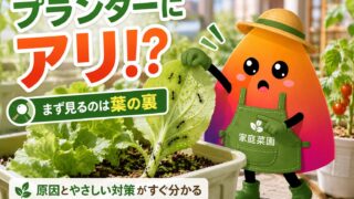 家庭菜園のアリ対策｜プランターに来る原因と野菜を傷めない駆除・予防法