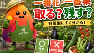 家庭菜園の一番花・一番果は取る？野菜別の判断早見表