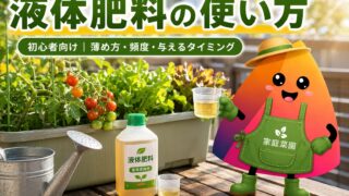 家庭菜園の液体肥料の使い方｜初心者向けに頻度・薄め方・失敗しないタイミングを解説