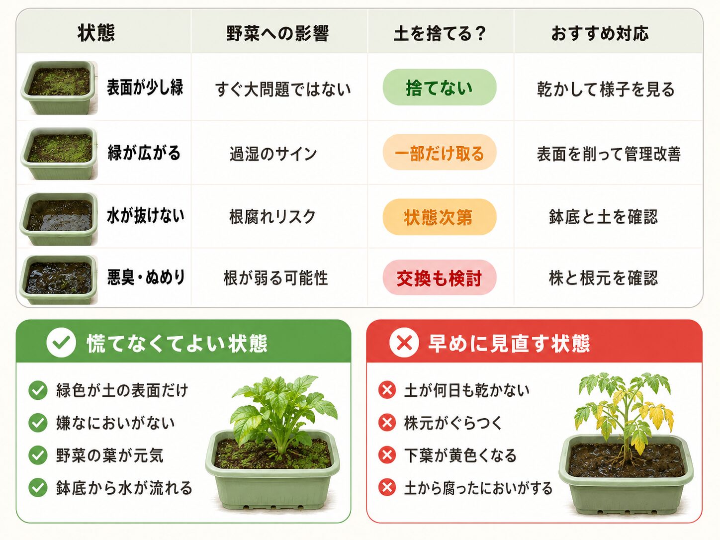 緑になった土を放置していいか捨てるべきか判断する表。表面だけ緑、緑が広がる、水が抜けない、悪臭ぬめりの対応