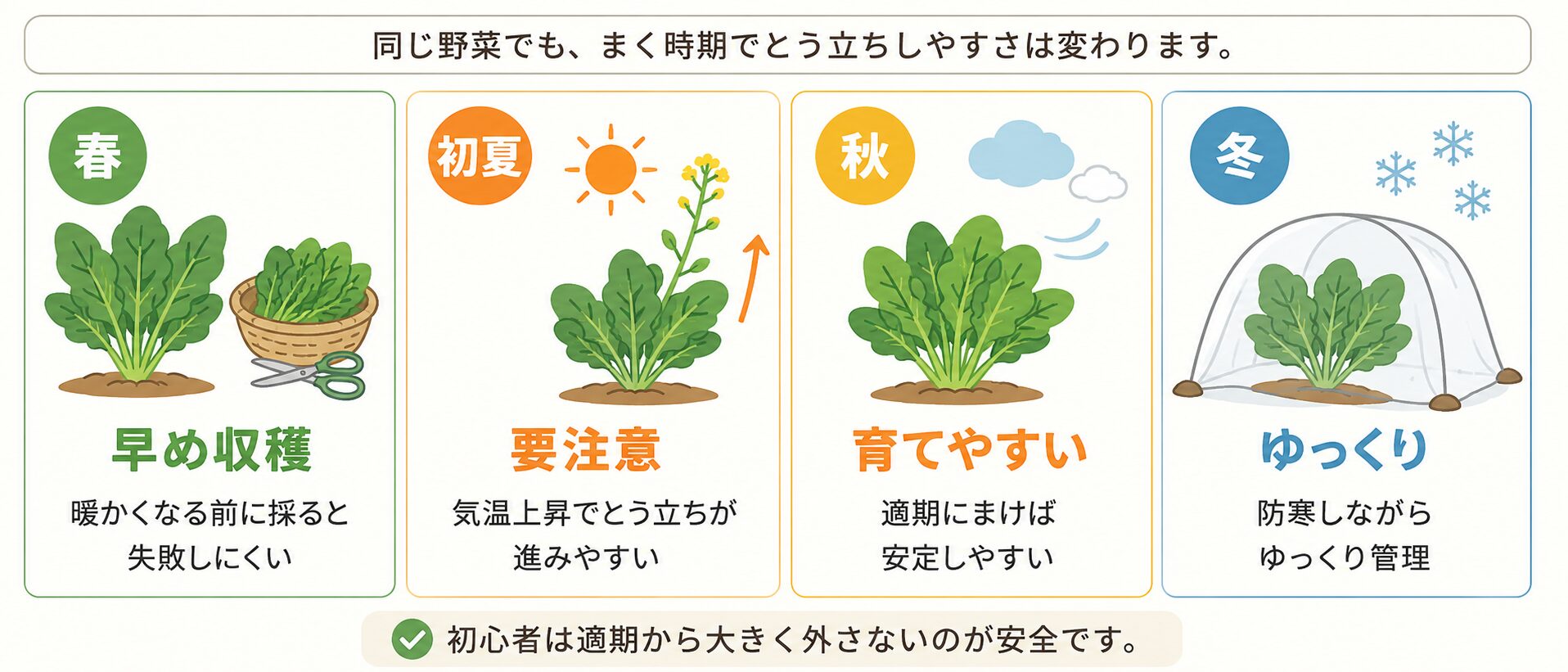 春、初夏、秋、冬の季節ごとに、葉物野菜のとう立ちしやすさと管理のポイントを示した図解。