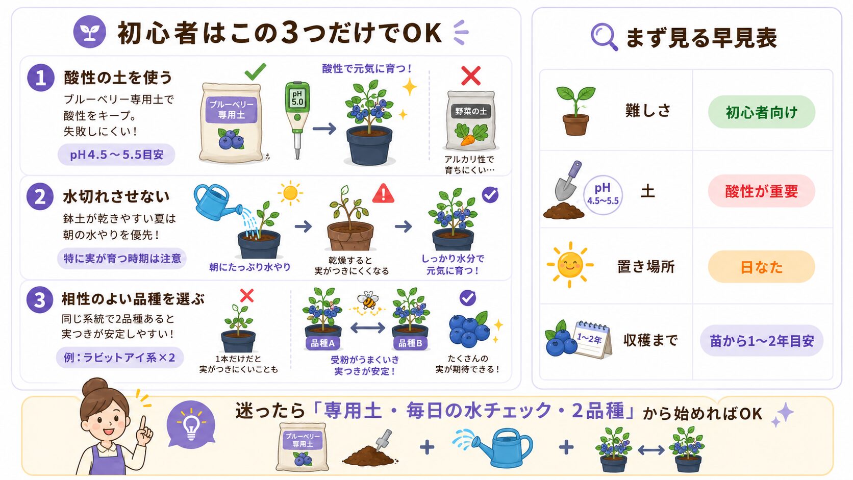 ブルーベリー栽培初心者向けの成功ルールをイラストで解説した図解