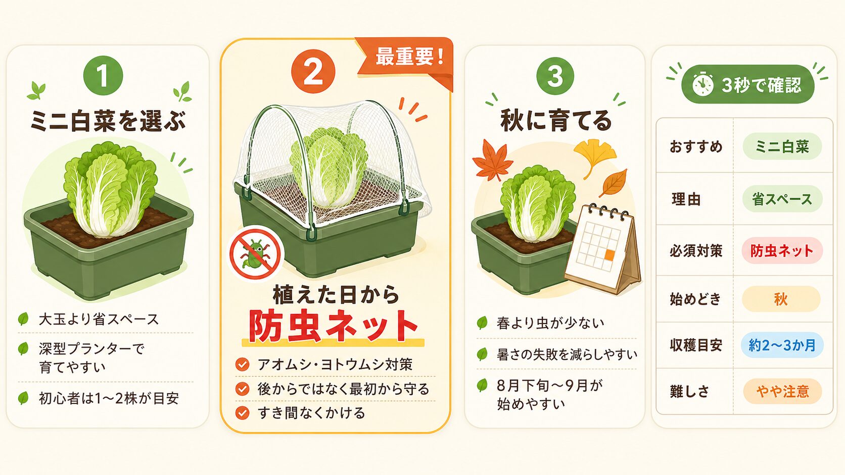 ミニ白菜の成功ルールを3つで解説した図解