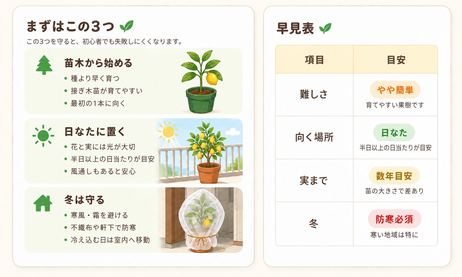 レモン鉢植え栽培で初心者が最初に押さえる3つの成功ルール