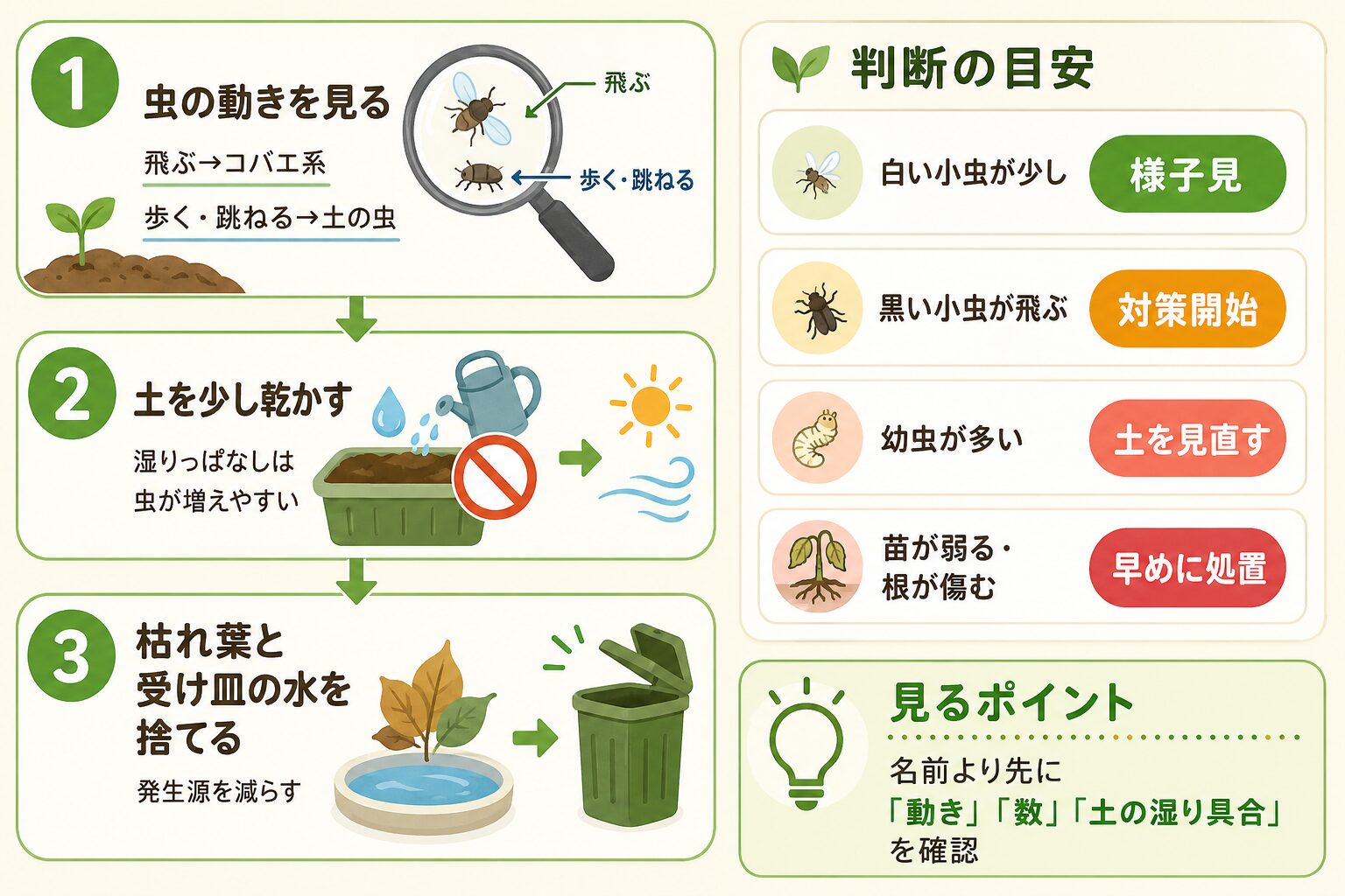プランターの土に小さい虫が出たときに最初に確認する対策と早見表