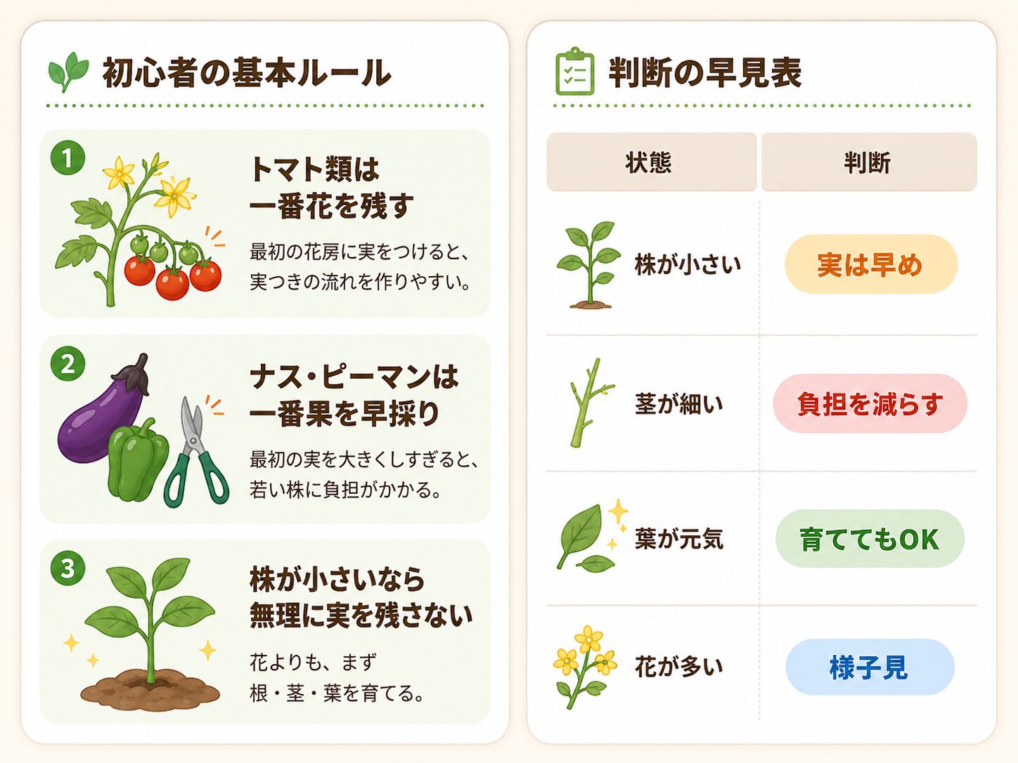 一番花と一番果の初心者向け基本ルールと判断早見表