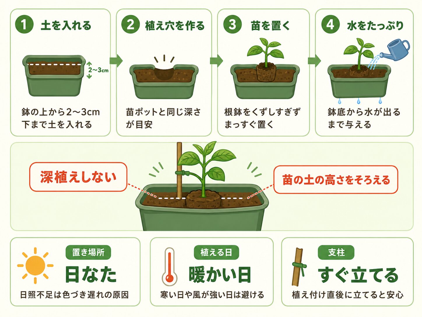 パプリカ苗をプランターへ植え付ける手順の図解