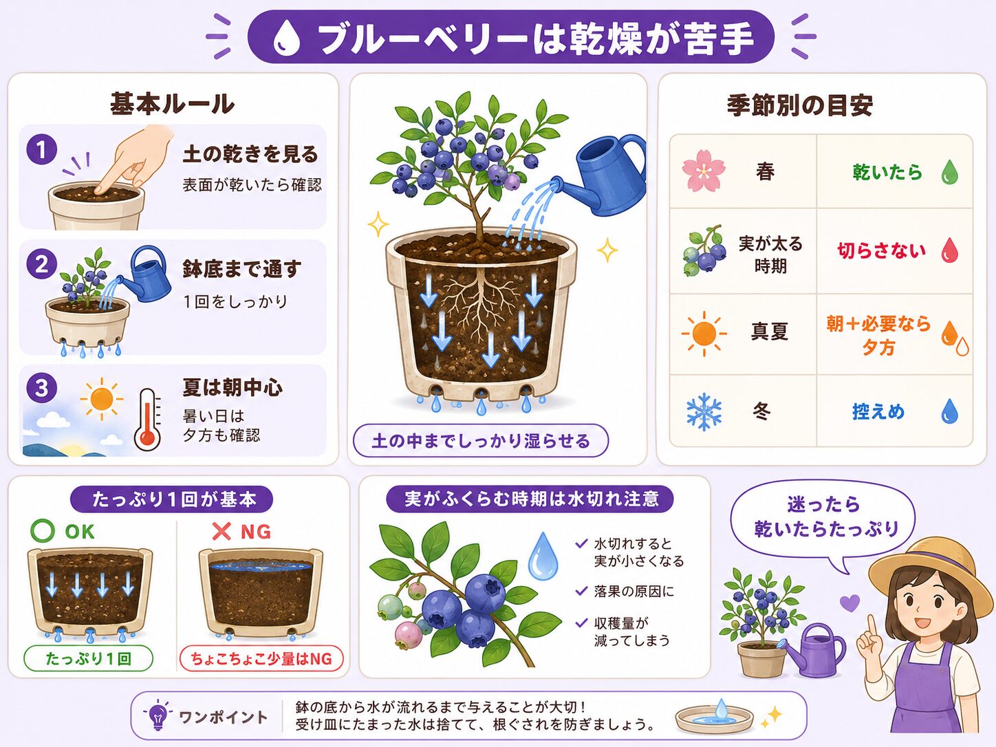 ブルーベリーの水やり頻度と季節別の目安を初心者向けに解説した図解
