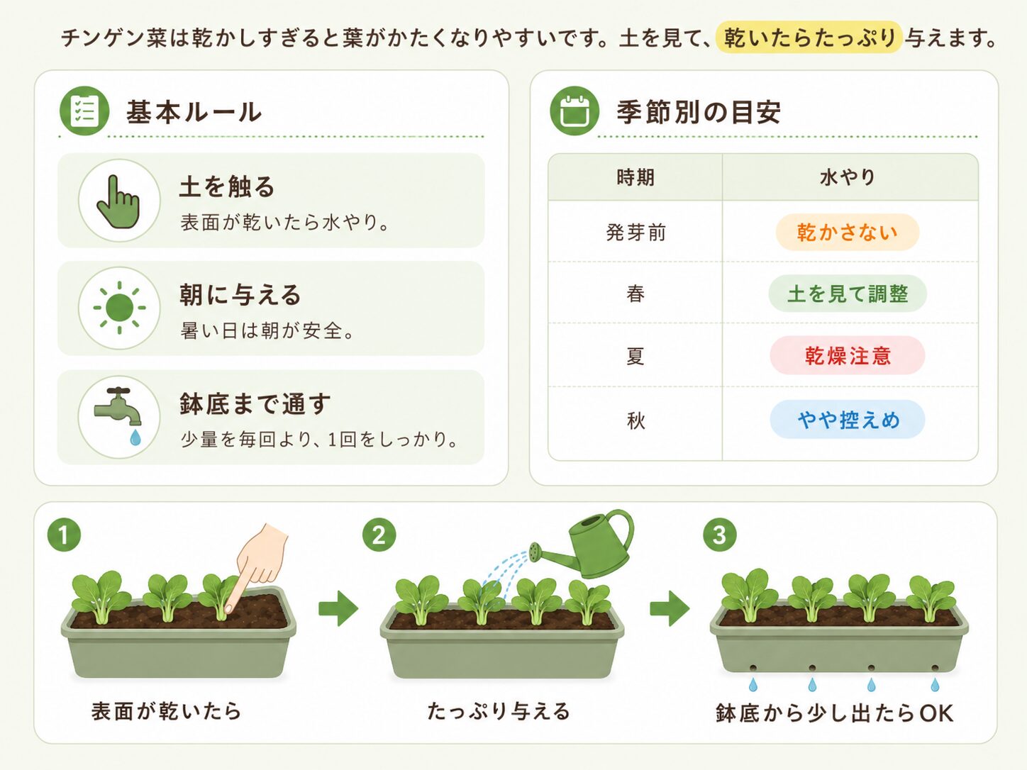 チンゲン菜の水やりの基本と季節別の目安を説明した図解