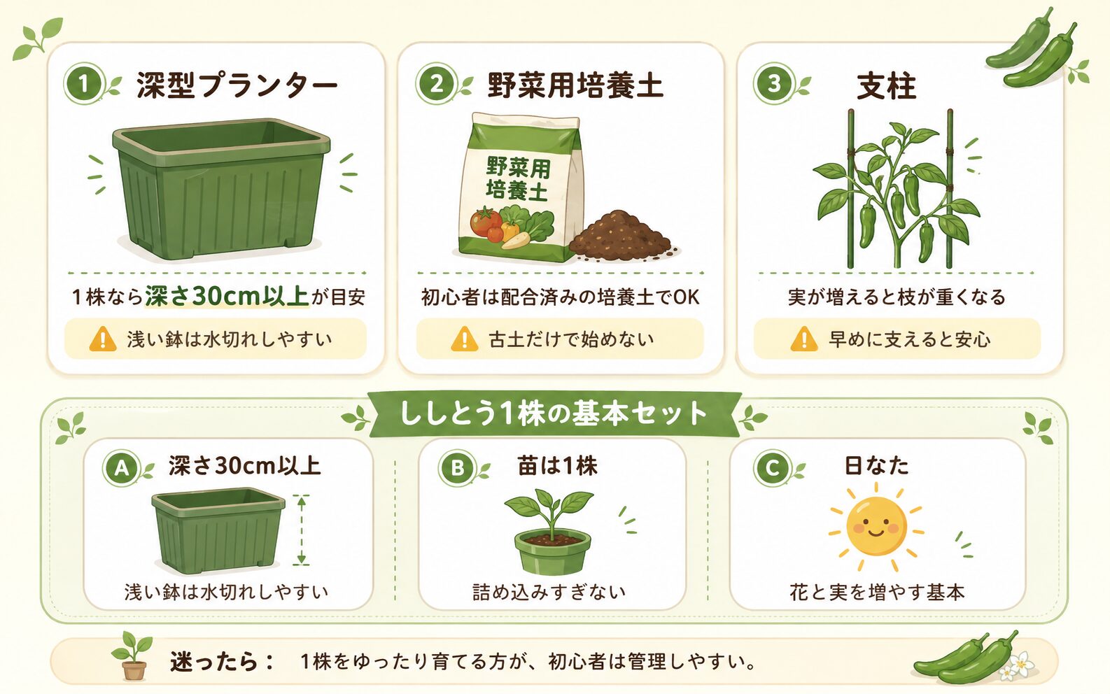 ししとうのプランター栽培で準備する深型プランター、野菜用培養土、支柱の説明