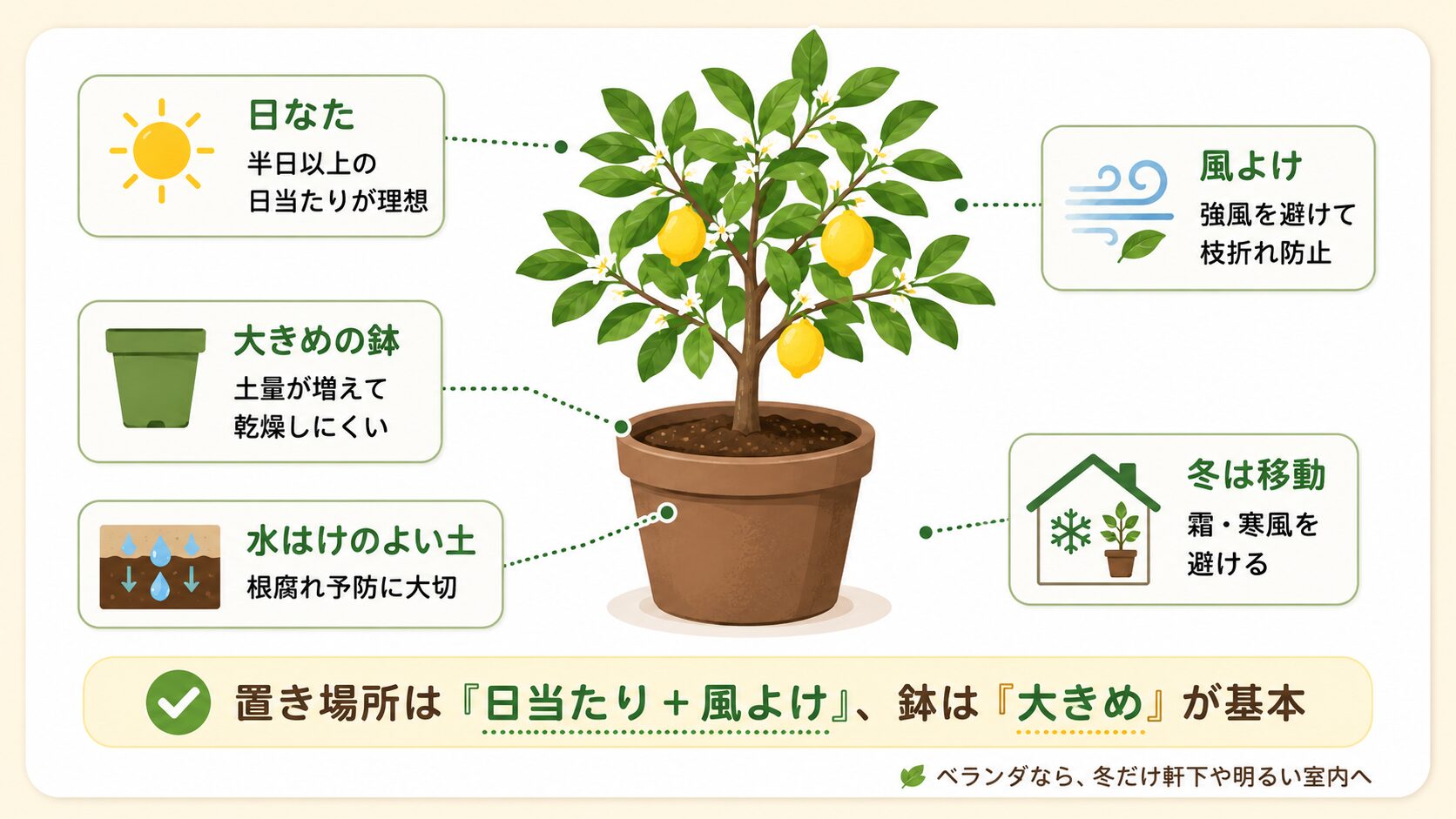 レモン鉢植えの理想的な置き場所と管理ポイント