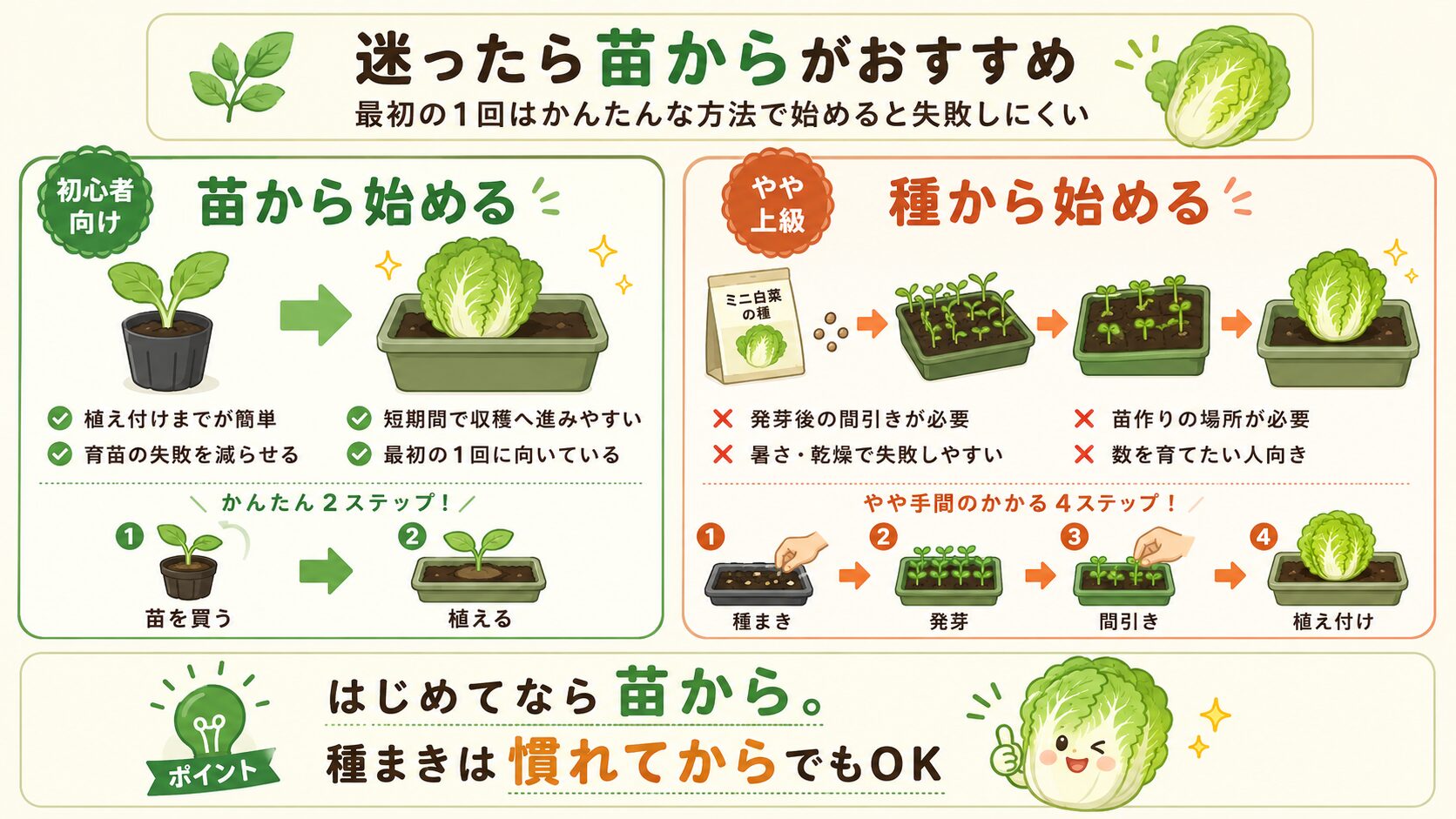 ミニ白菜を苗から始める方法と種から始める方法の比較図