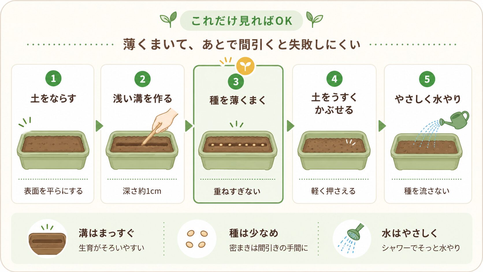 ルッコラの種まき手順を示した図解