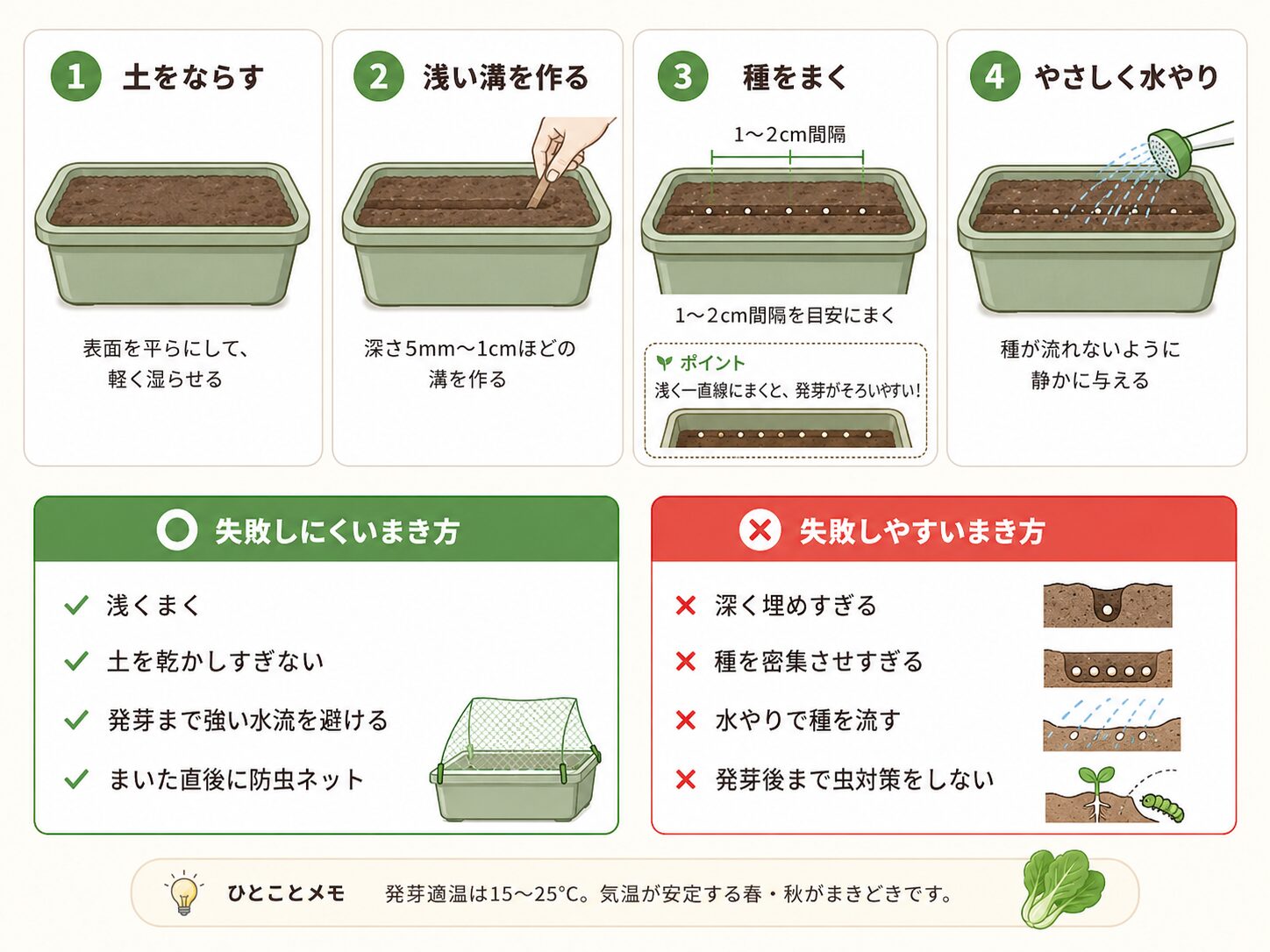 チンゲン菜のすじまき手順と失敗しにくいまき方を説明した図解