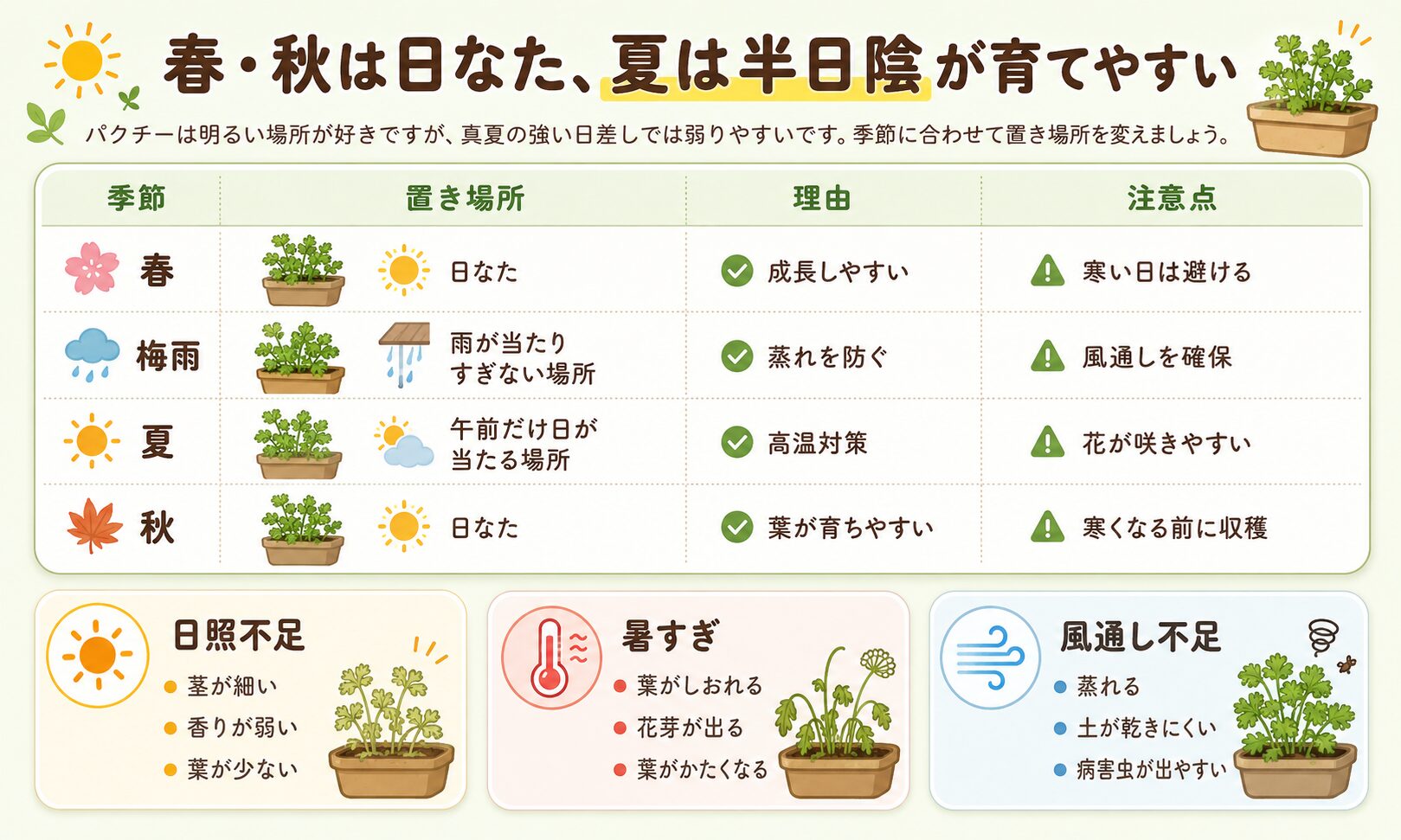 季節別のパクチーの置き場所と日当たりの目安をまとめた図解