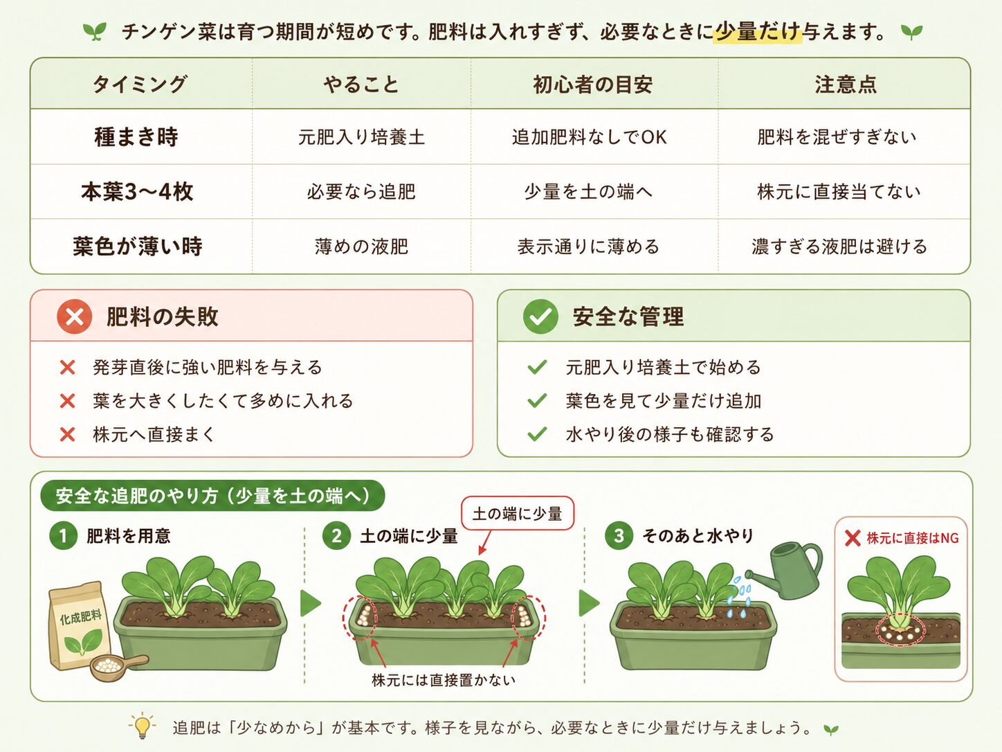 チンゲン菜の肥料と追肥の安全なやり方を説明した図解