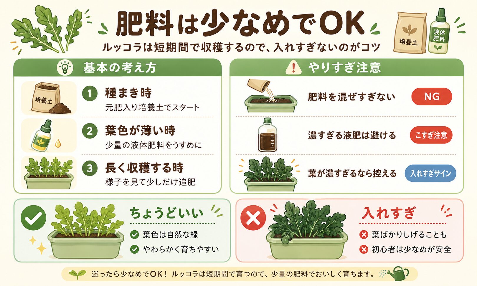 ルッコラの肥料と追肥の目安を示した図解