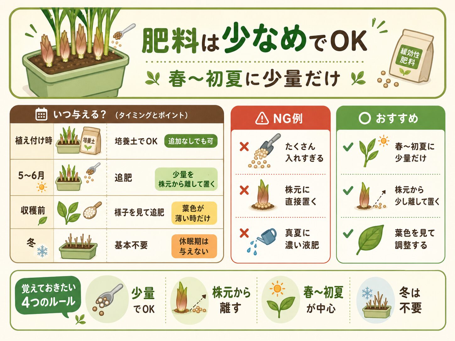 ミョウガの肥料と追肥のタイミングをまとめた図解