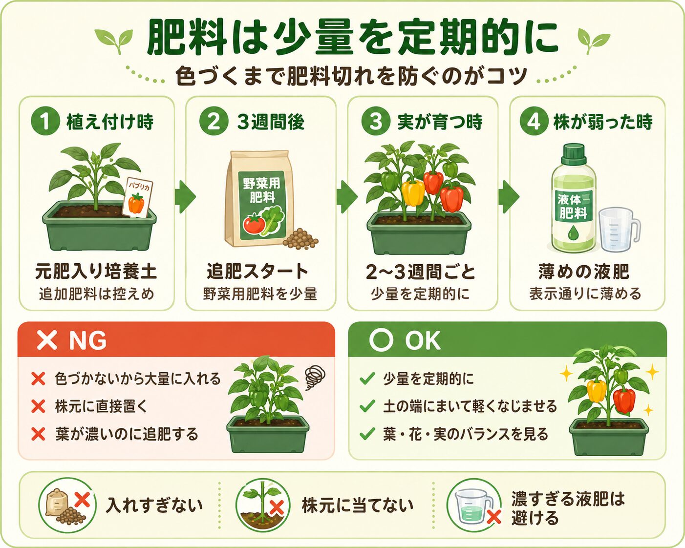 パプリカの肥料と追肥のタイミングをまとめた図解
