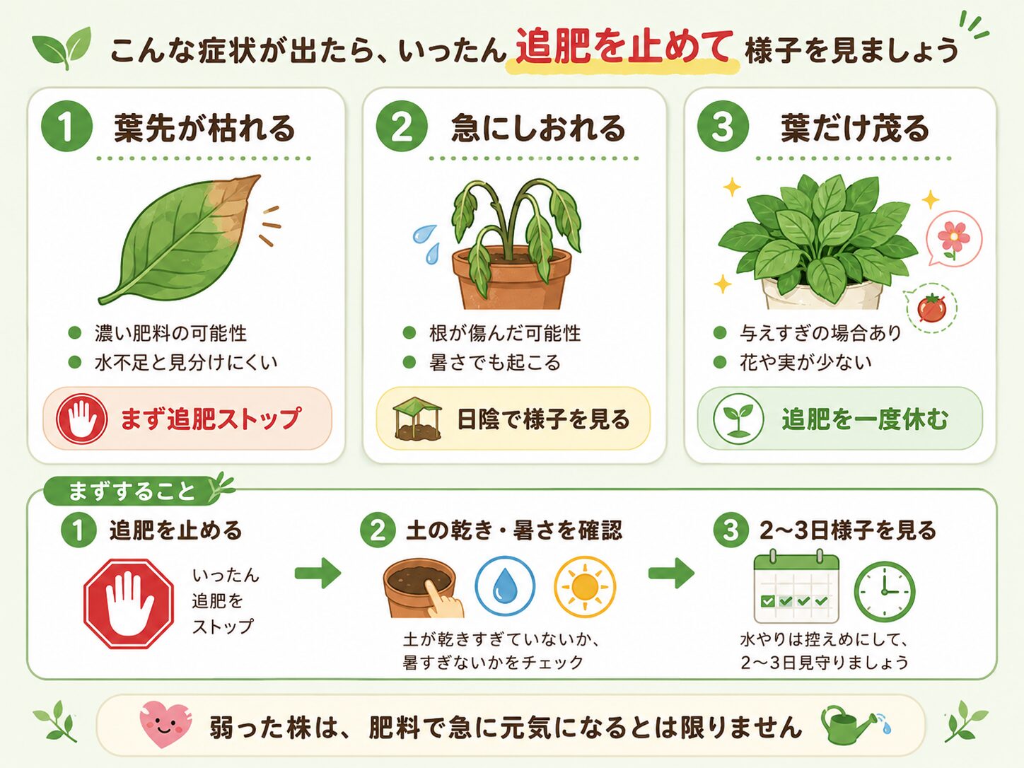 液体肥料の肥料焼けサインを説明した図解。葉先が枯れる、急にしおれる、葉だけ茂る場合の対処を示している。