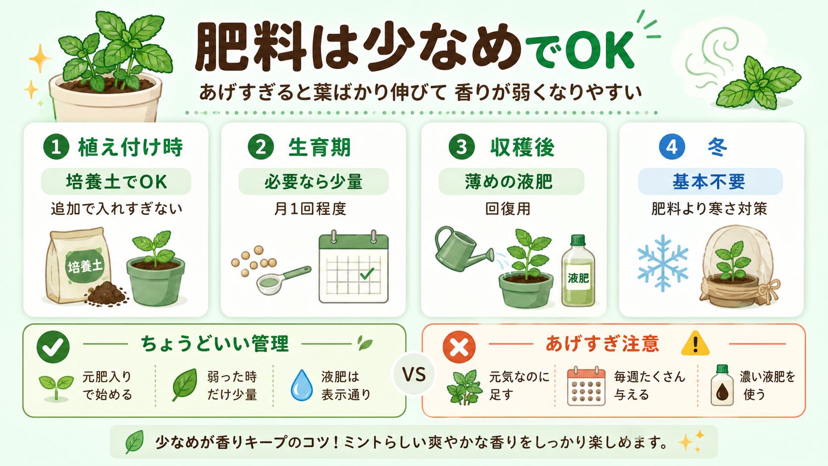 ミントの肥料管理を季節別に解説した図解