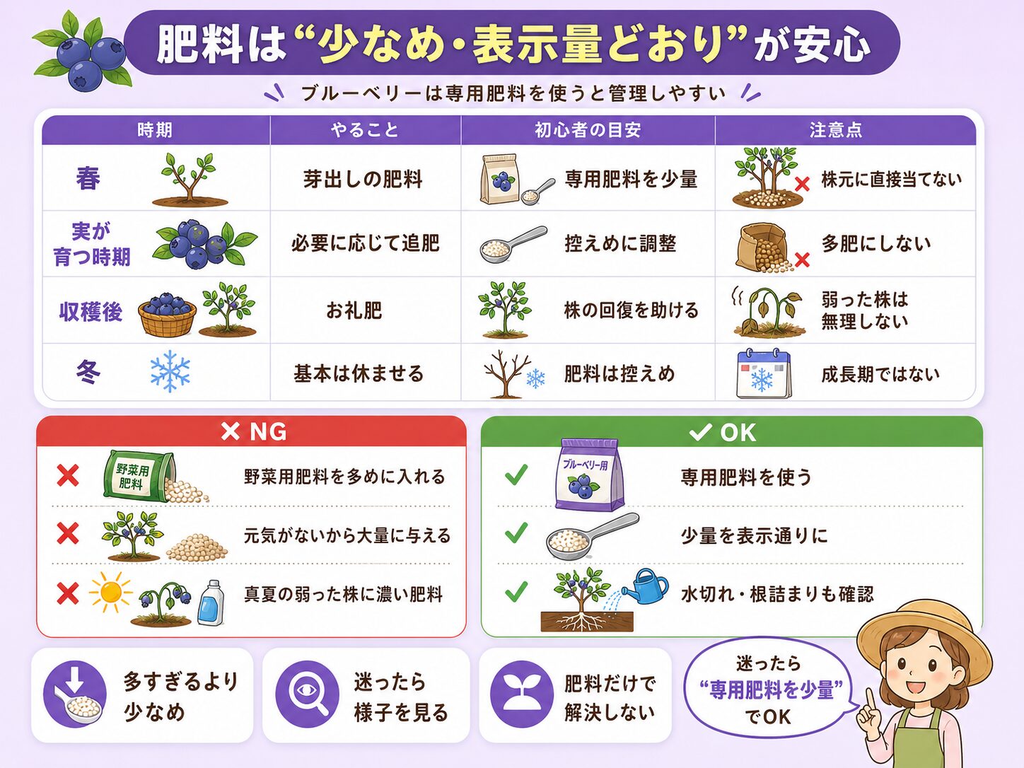 ブルーベリー用肥料の与え方と時期別の目安、NG例を解説した図解