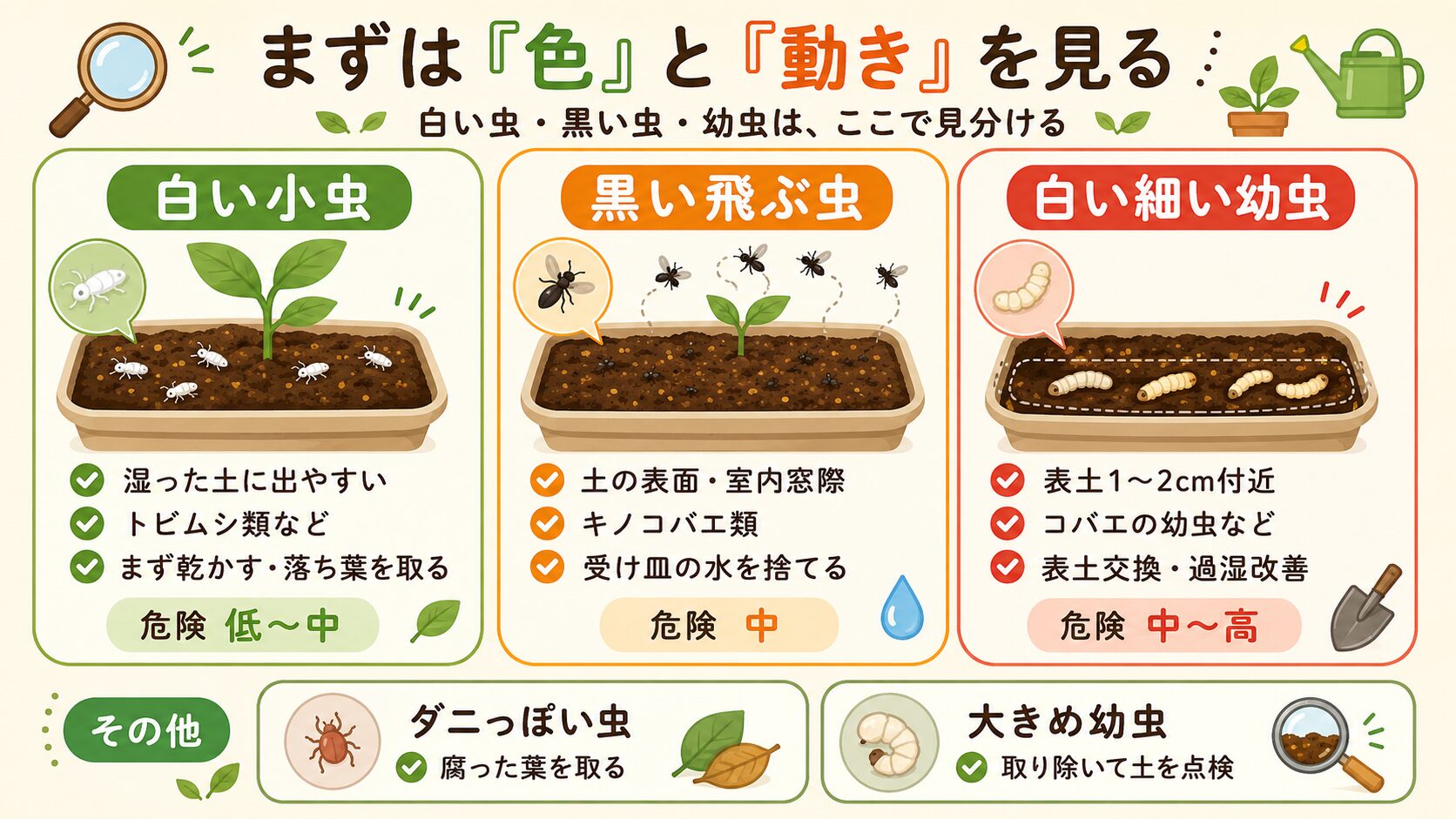 白い小虫・黒い飛ぶ虫・白い細い幼虫の見分け方を示した図解
