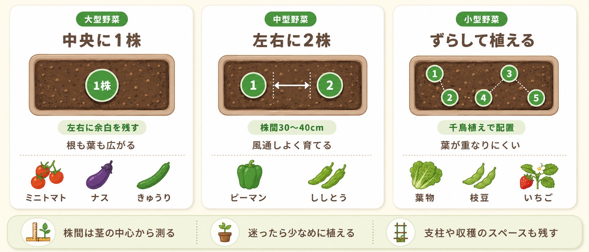 大型野菜1株、中型野菜2株、小型野菜の千鳥植えの配置図