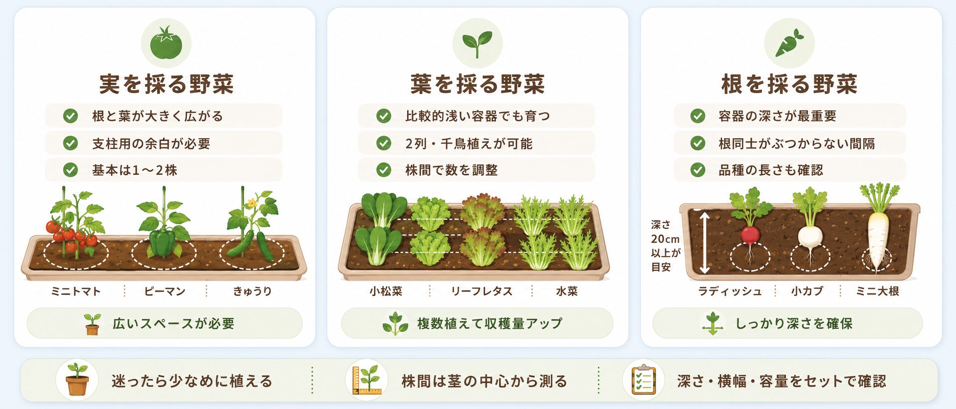 実を採る野菜、葉を採る野菜、根を採る野菜の株数と容器の選び方