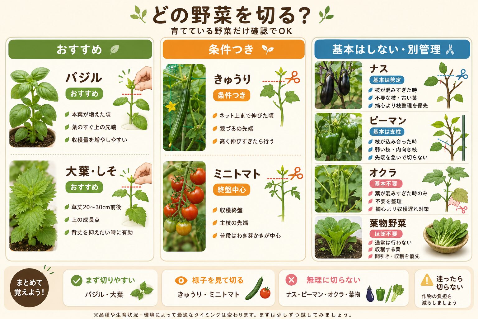 野菜別に摘心するかしないかを判断できる早見表