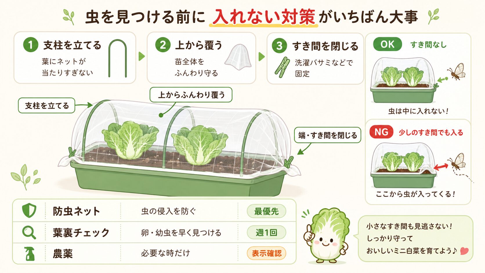 ミニ白菜を防虫ネットで守る方法を解説した図解