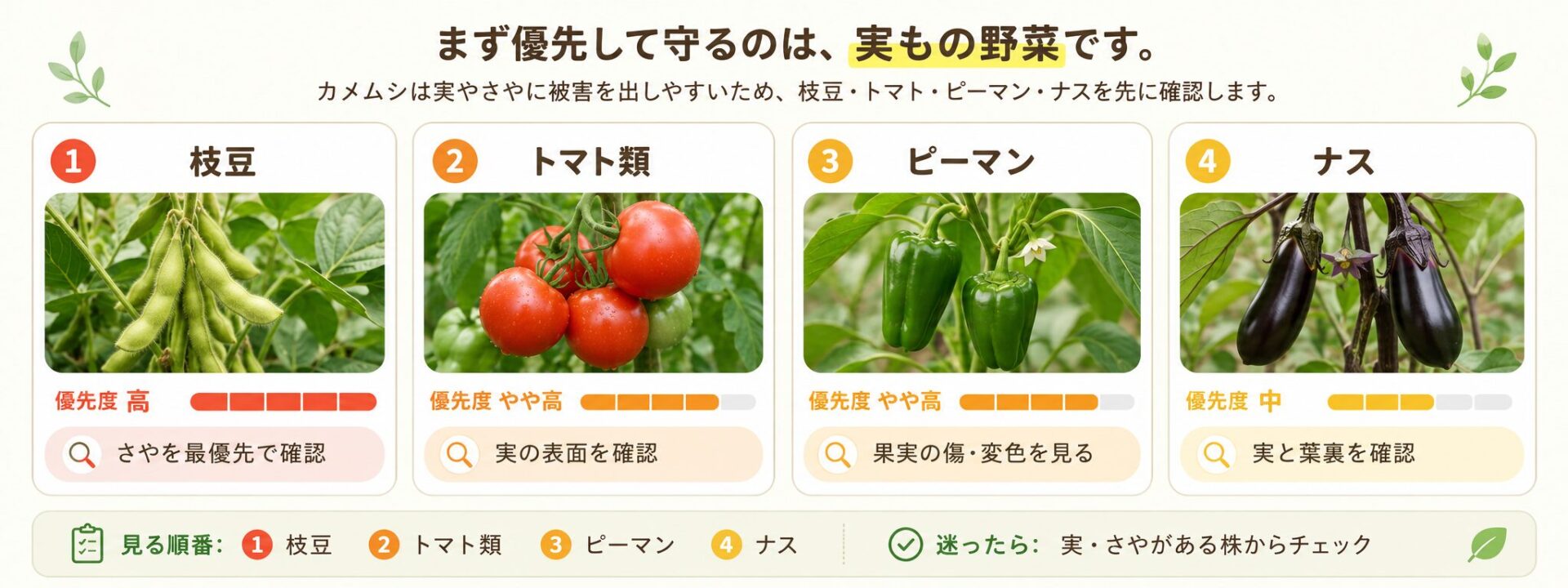 カメムシが集まりやすい野菜。枝豆、トマト類、ピーマン、ナスを優先して確認する