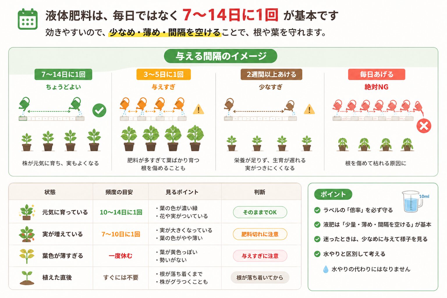 液体肥料を与える頻度を説明した図解。7〜14日に1回が基本で、毎日与えるのはNG、間隔が短すぎても長すぎても注意が必要と示している。