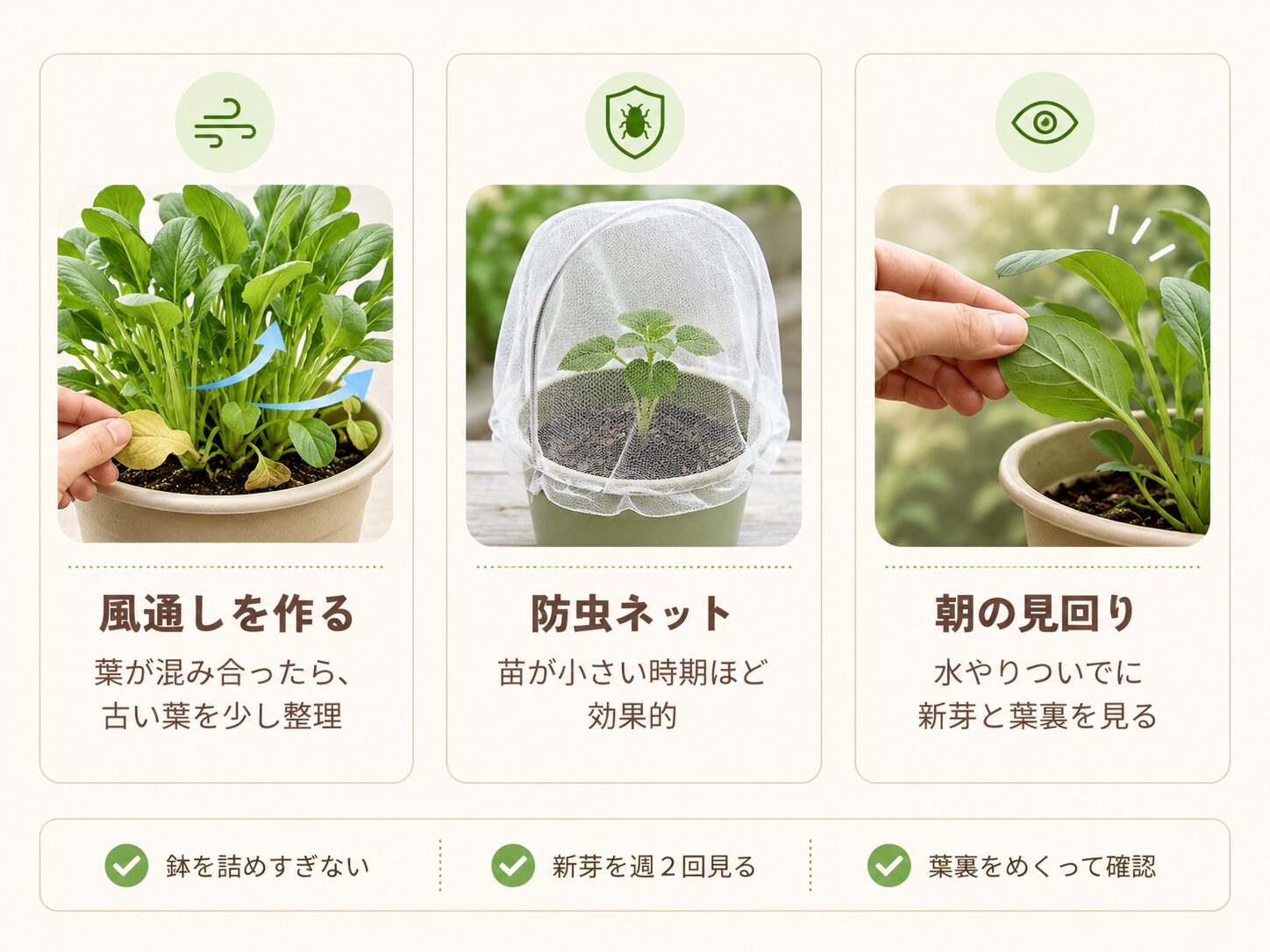 アブラムシ発生前にやる予防策を示した図解