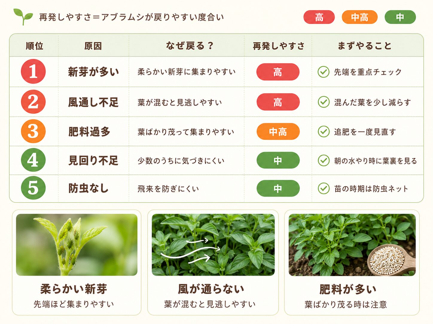 アブラムシが再発しやすい原因を多い順に示した図解