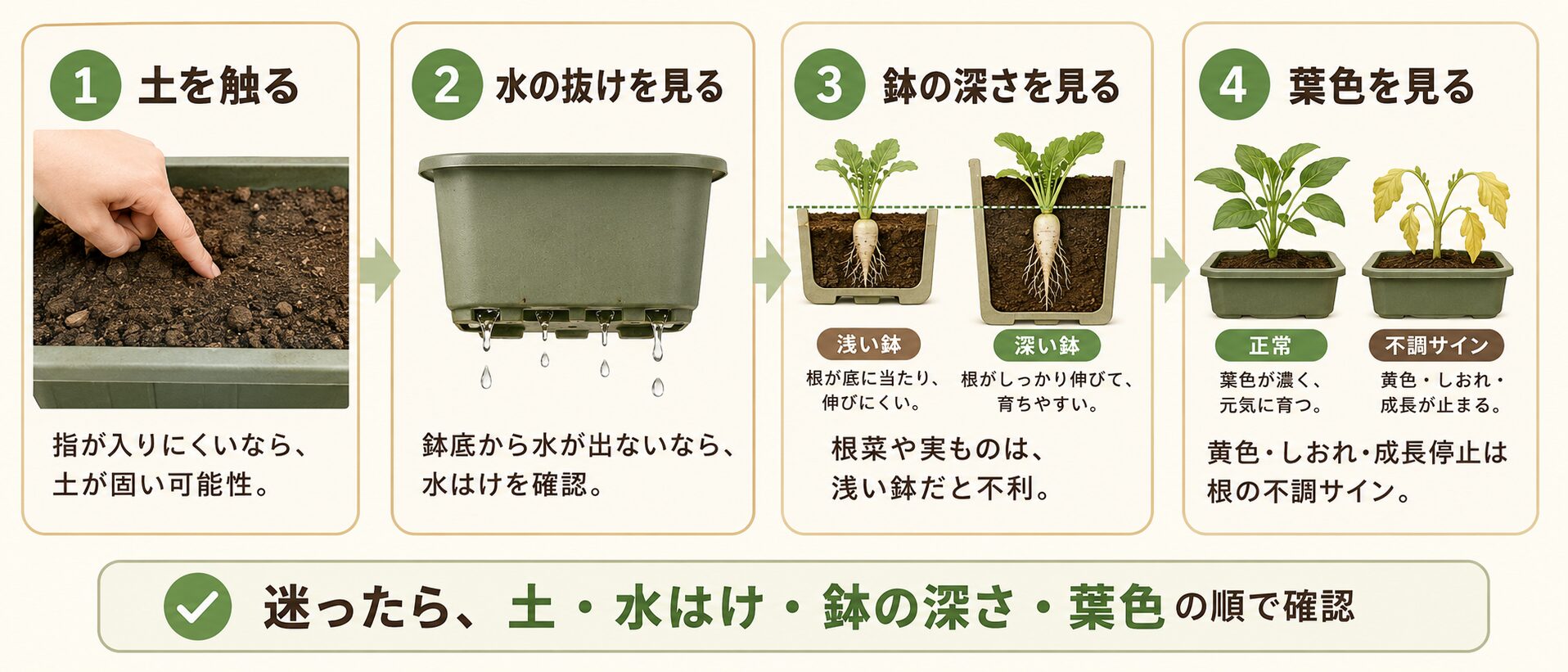 根の不調を診断するための土・水はけ・鉢の深さ・葉色の確認手順
