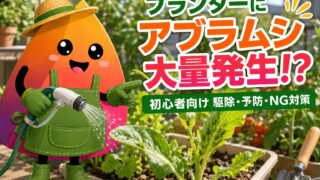 家庭菜園のアブラムシ駆除｜プランターで大量発生した時の対策・予防・NG行動
