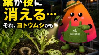 家庭菜園の葉が夜に食べられる原因はヨトウムシ？見分け方・駆除・予防法を初心者向けに解説