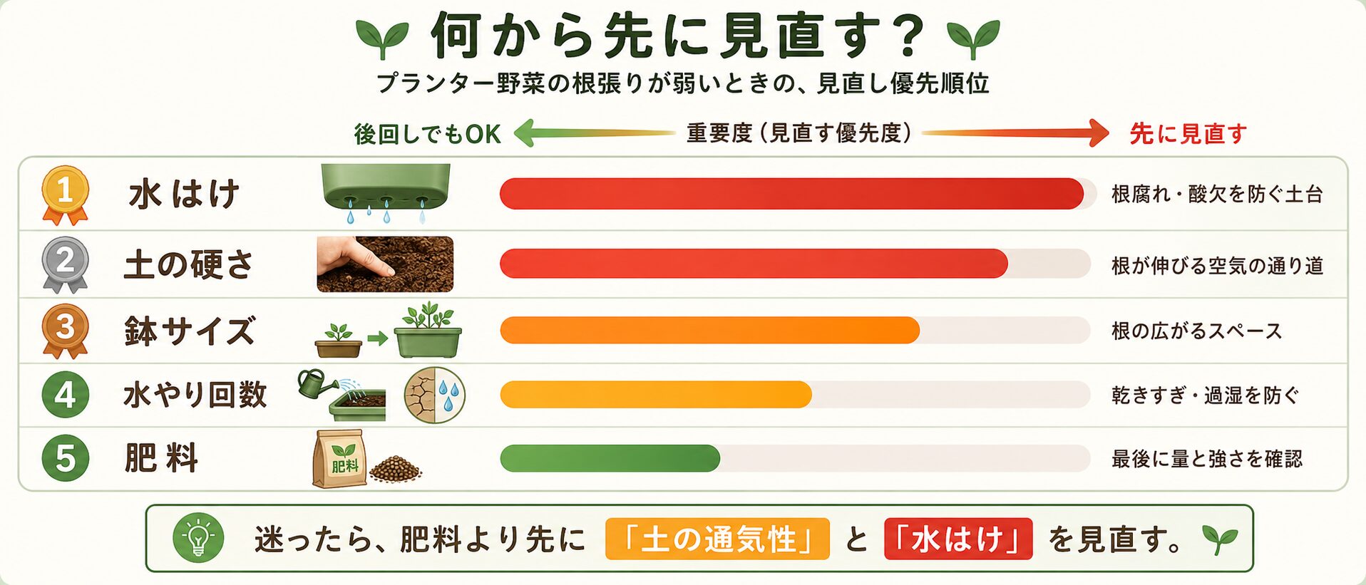 根張りが弱い時に優先して見直す水はけ・土の硬さ・鉢サイズ・水やり・肥料の順番を示した図解
