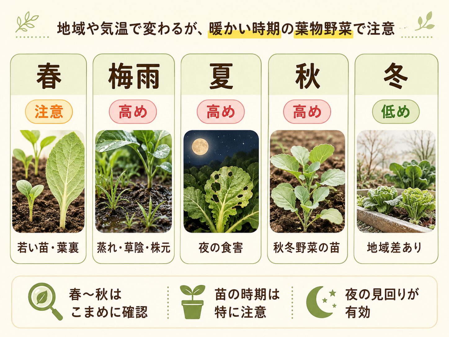 ヨトウムシが発生しやすい時期と見るポイント