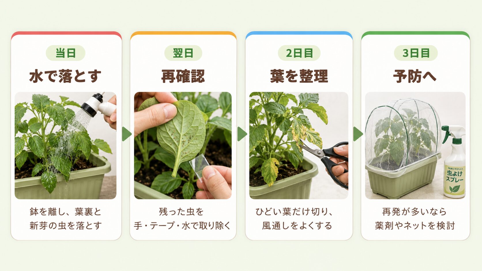 アブラムシ駆除後3日間にやることを示したチェック表